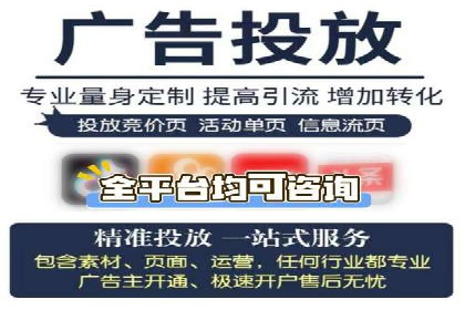 百度竞价代理的运营策略与成功案例分析